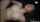 asian bald pussy shaved pussy