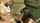 ebony blowjob black