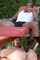 interracial creampie blonde