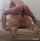 dildo doggystyle inshot