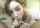 sasha grey pornstar cbt