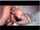ebony black squirt