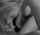 blonde blowjob sensual