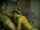 blowjob pretty blonde