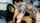 straight chaturbate couple