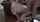 japanese asian old man