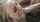 blond blowjob cock sucking