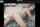slut camgirl vibrator