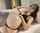 teen brunette pale