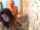 camcouple amateur hot