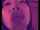 jav camgirl japanese