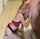 blowjob blonde skinny