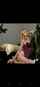 camgirl amateur blonde