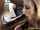 blowjob bbc interracial