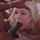 blonde bbc bigass