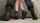 from behind standing fuck used