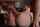 danny d brazzers bwc