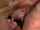missy monroe blonde tit fuck