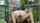 pounded big ass blonde