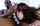 brunette blowjob bbc