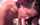 kitty jung small teen asian