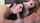 blowjob horny sexy