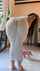 clothed softcore asian