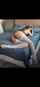 camgirl amateur brunette