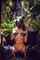 bdsm slave slavegirl