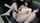 fc2 jav japanese