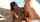 bimbo ebony milf
