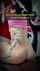 milf bbc brazzers