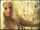 blonde island lesbian