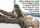 bbc interracial blacked