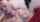 blonde big tits cum on tits