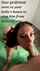 pov blowjob brunette