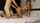 camcouple amateur hot