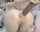 anal big ass fuck