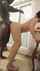 bbc busty pounded