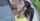 blowjob deepthroat horny