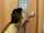 door doorknob blowjob