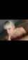 blonde deepthroat bimbo