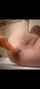 bbw chubby fist dildo