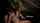 public masturbation masturbation car masturbation