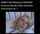 stewardess blonde wifey