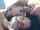 camgirls ffmm kissing
