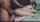 asian anal petite teen