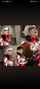 ultraman cosplay big breasts