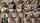 camcouple amateur hot
