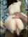 anal amateur big ass